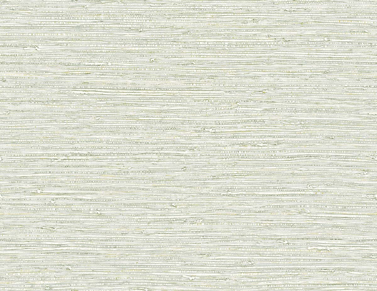 Bali Tropical by Seabrook Designs AG61504