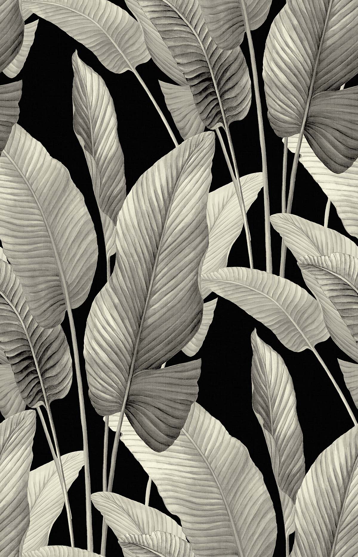 Bali Tropical by Seabrook Designs AG62000