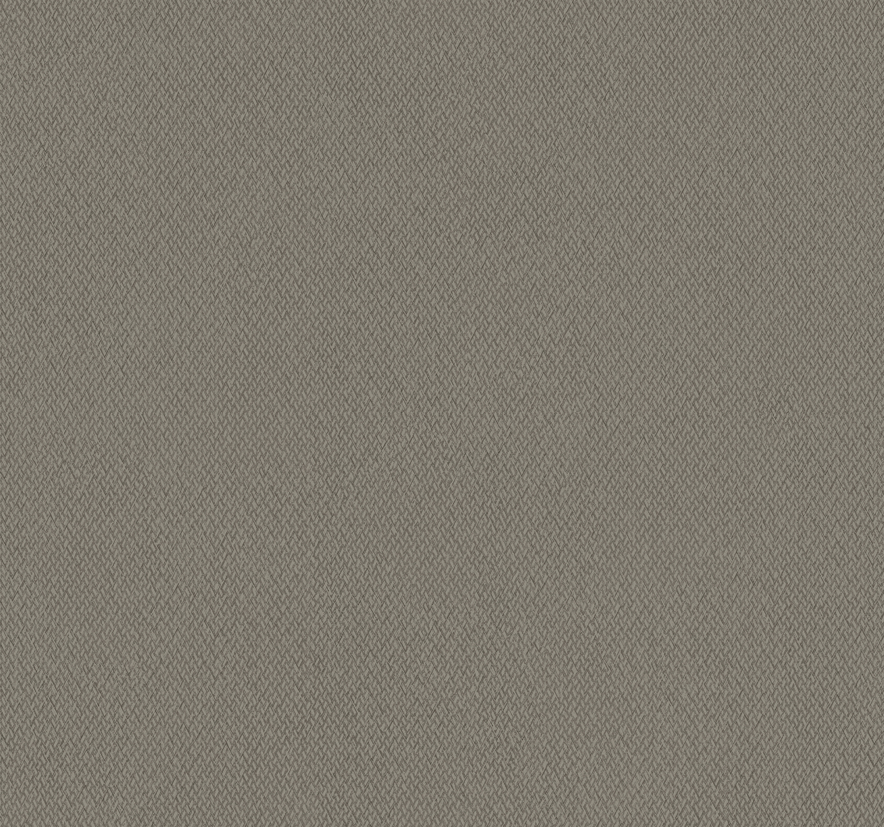 54" Natural Digest by York Wallcoverings ND3025