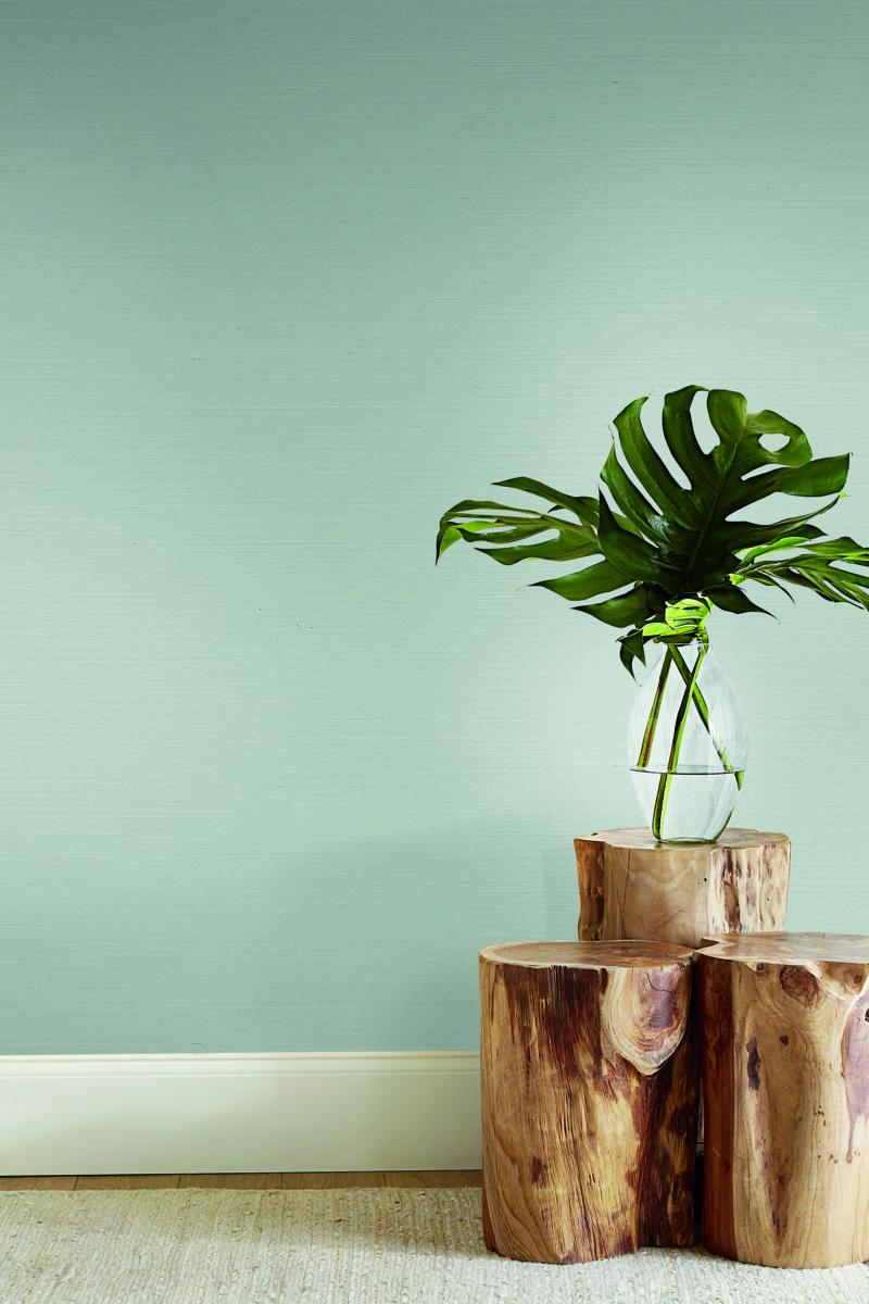 Blooms Second Edition by York