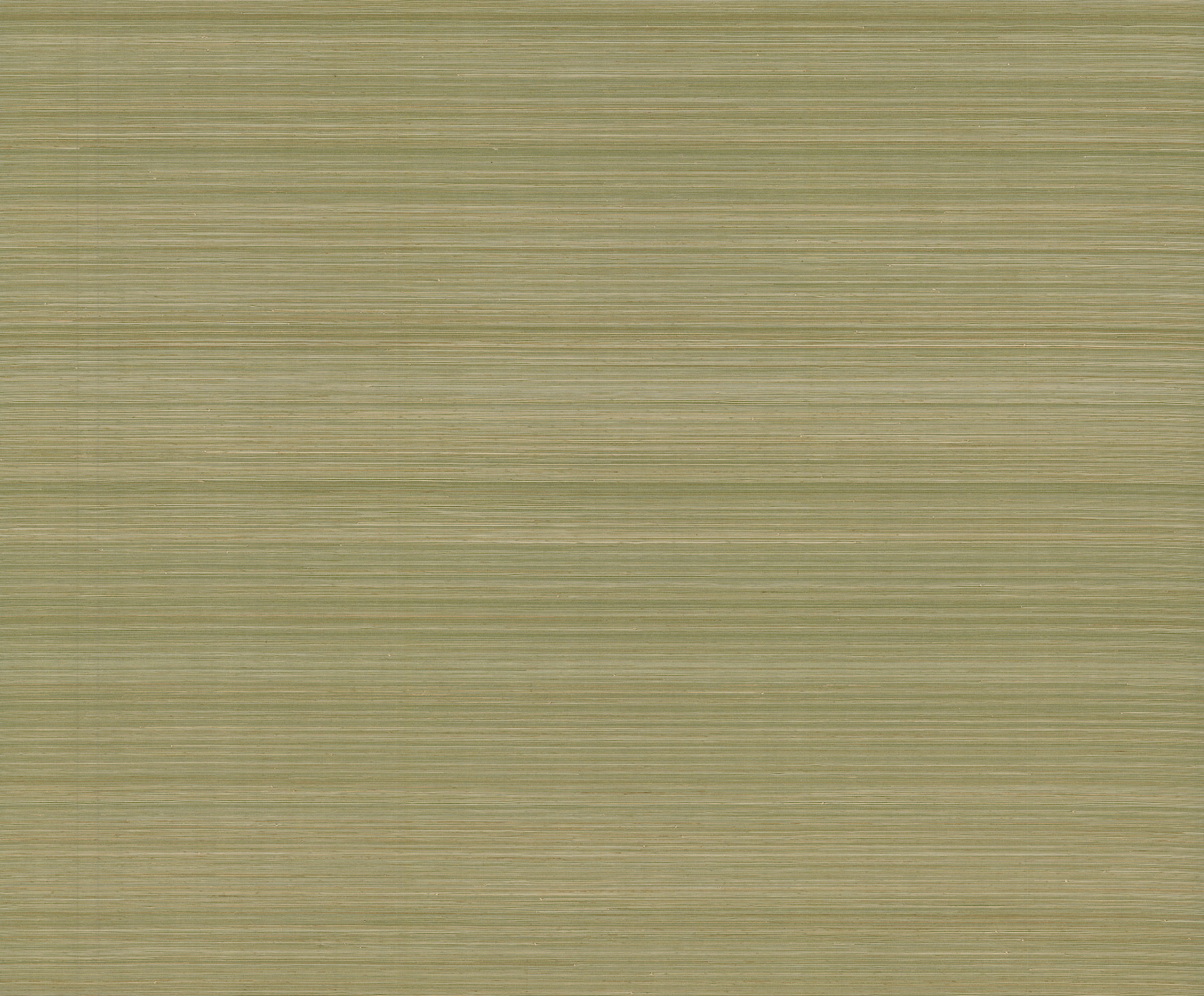 Natural Palette Resource by York and Ronald Redding Designs GRL88366