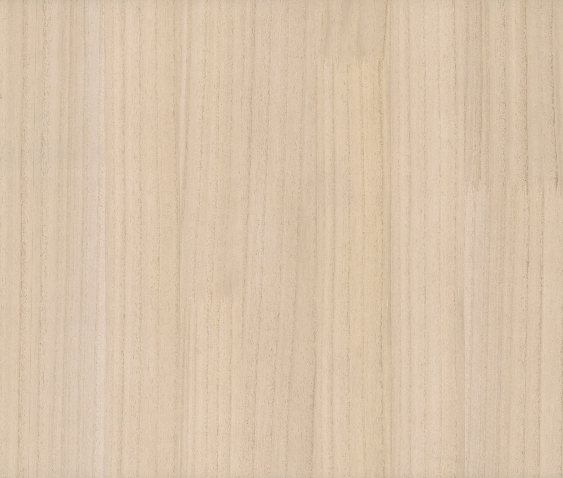 Wood Veneer Beech Wallpaper