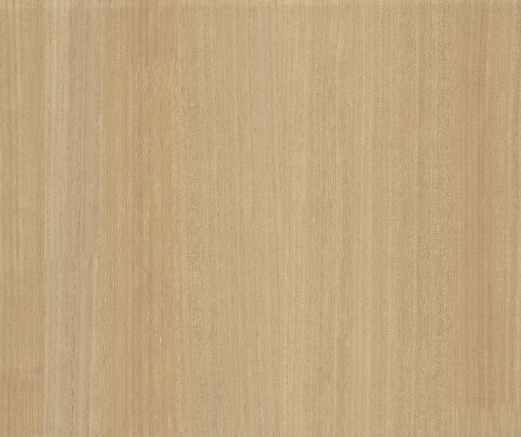 Natural Palette Resource by York and Ronald Redding Designs GRL88415