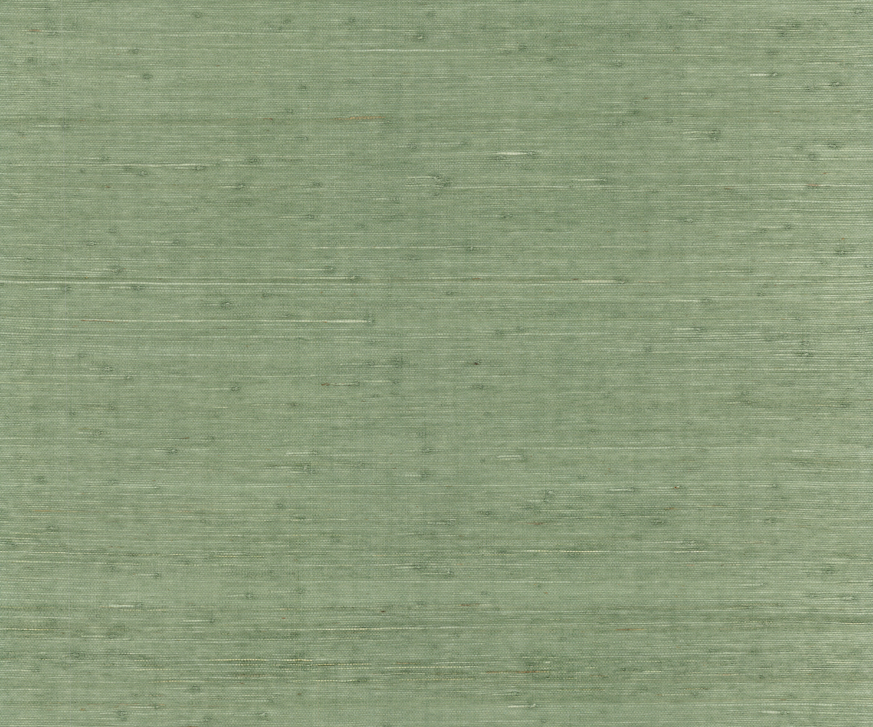 Natural Palette Resource by York and Ronald Redding Designs YGL7068