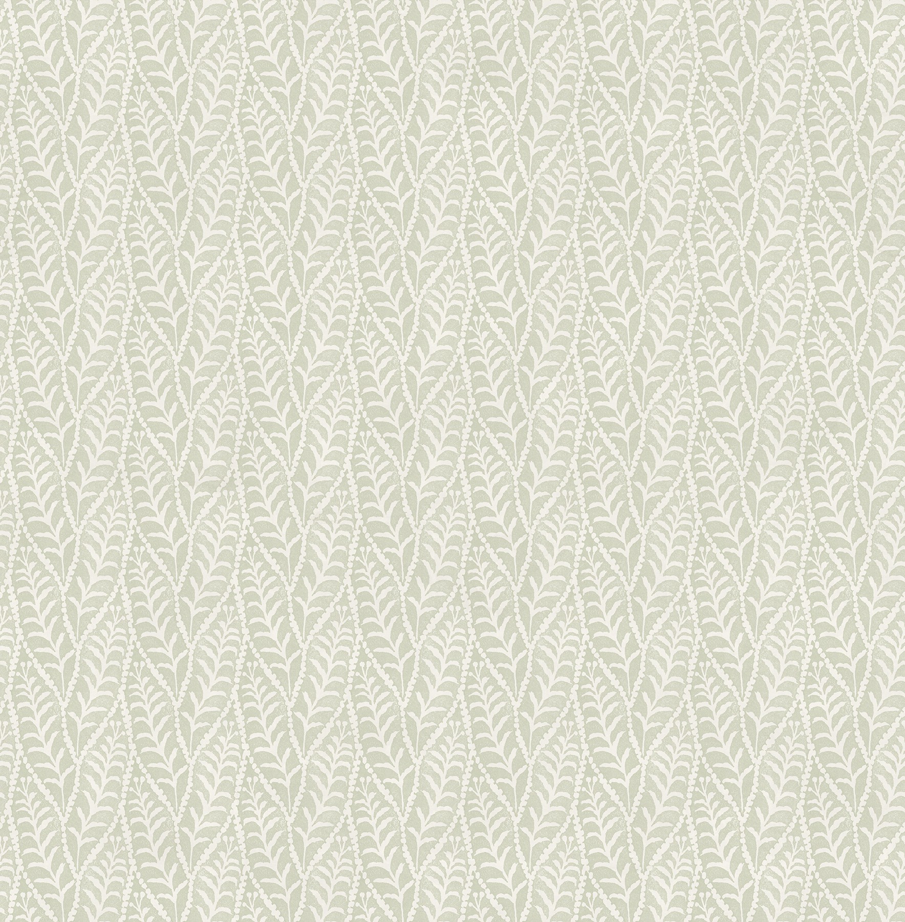 Coleus Sage Leaves Wallpaper