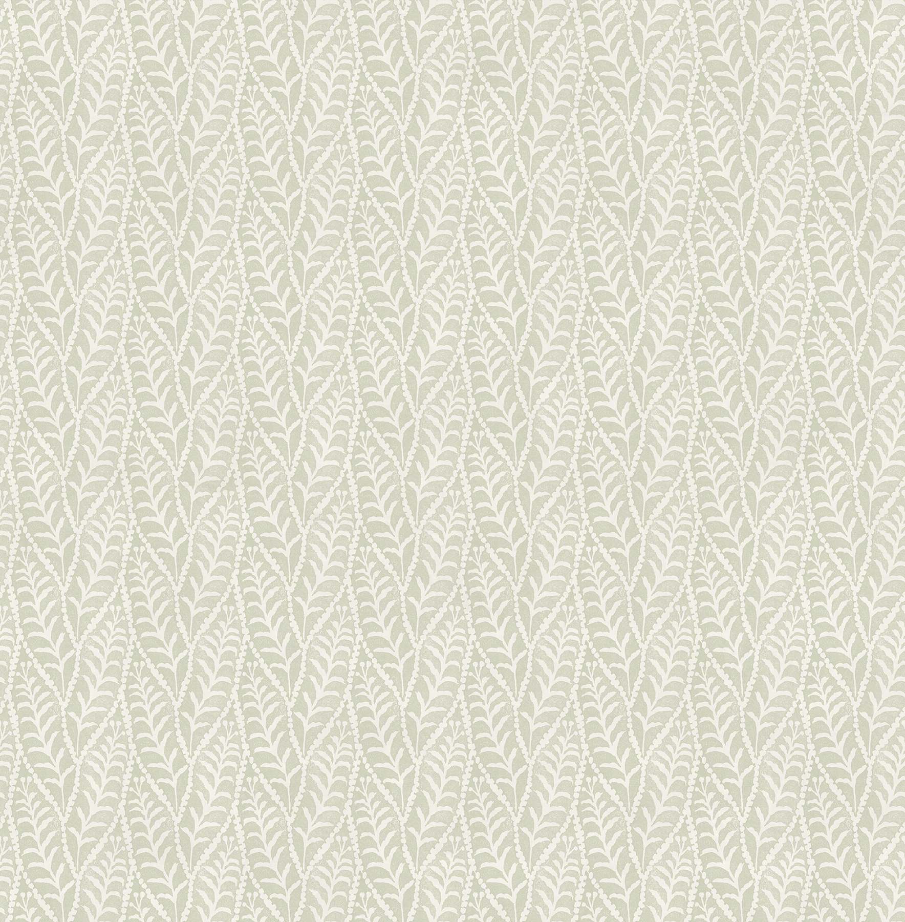 Coleus Sage Leaves Wallpaper