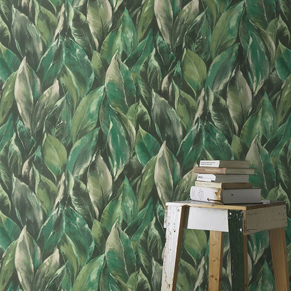 Maclayi Green Banana Leaf Wallpaper