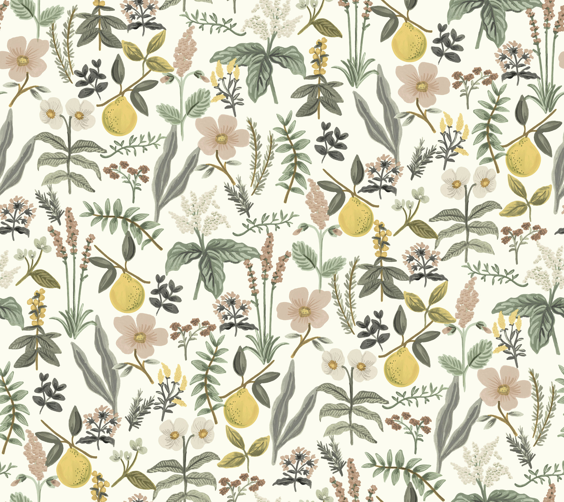 Herb Garden Cream Botanical Premium Peel + Stick Wallpaper