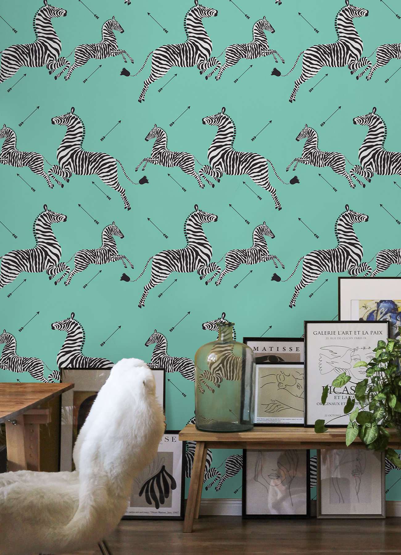 Aqua Zebra Safari Peel & Stick Wallpaper