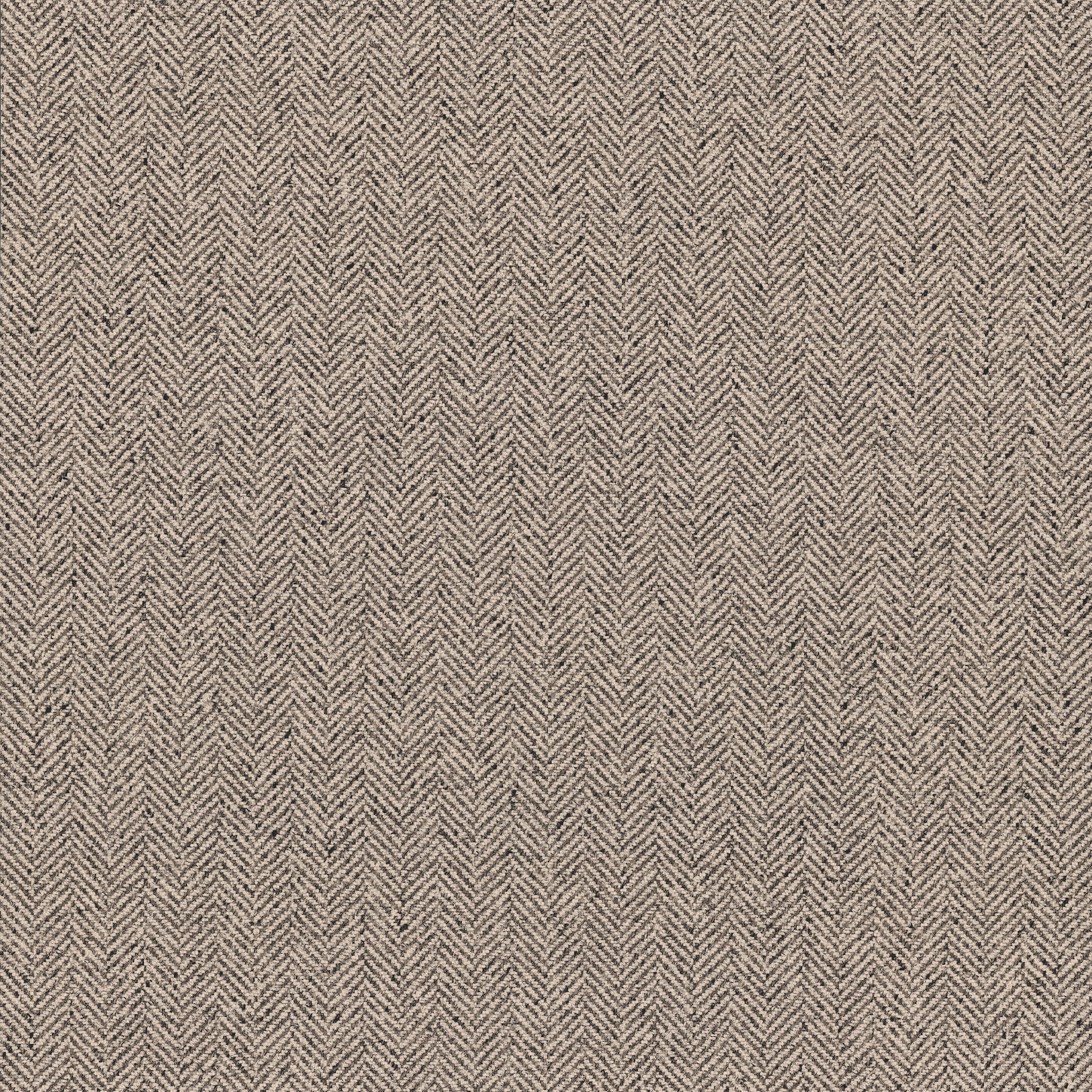 Tailored Chevron Latte Wallpaper