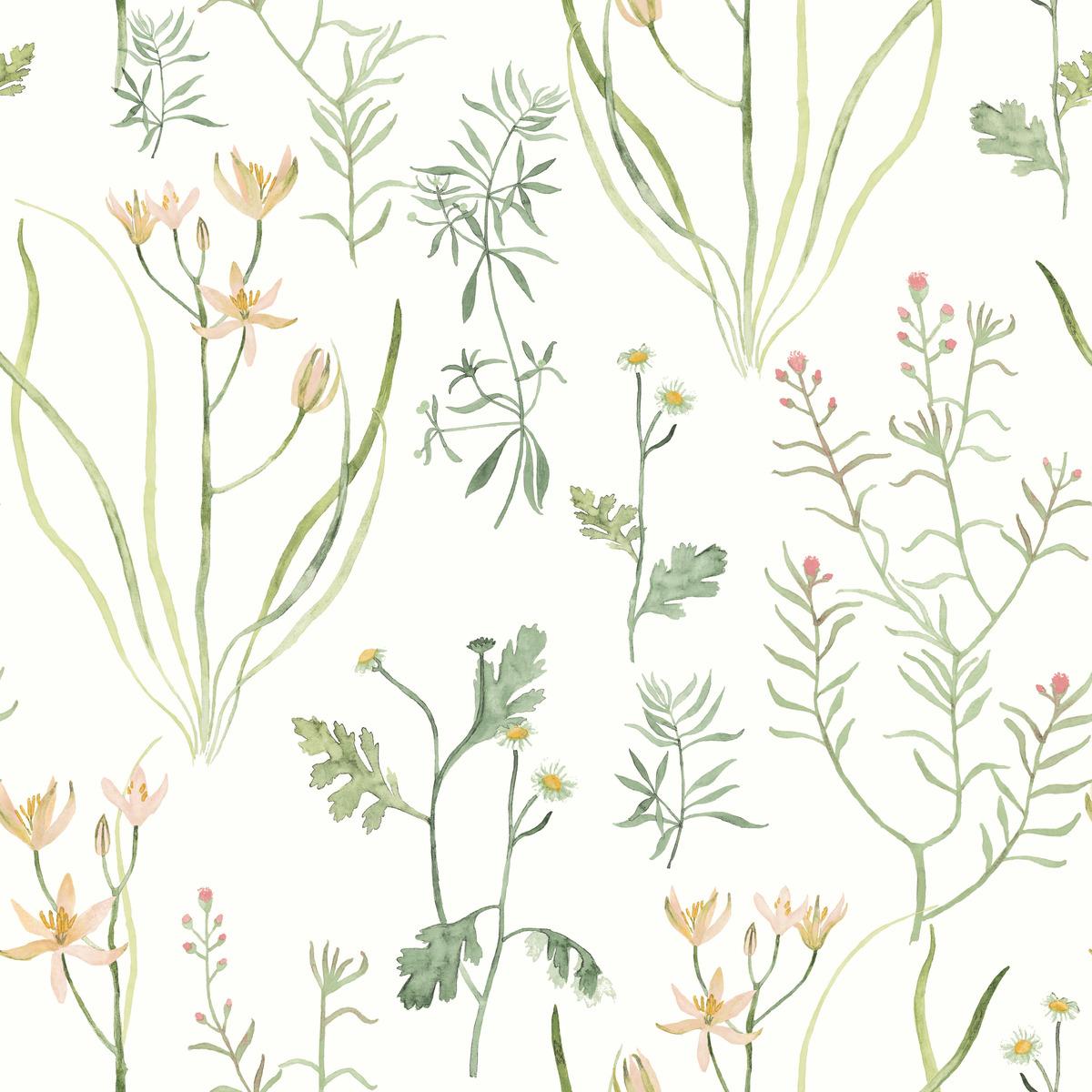 Watercolor Botanicals Premium Peel and Stick Wallpaper by York