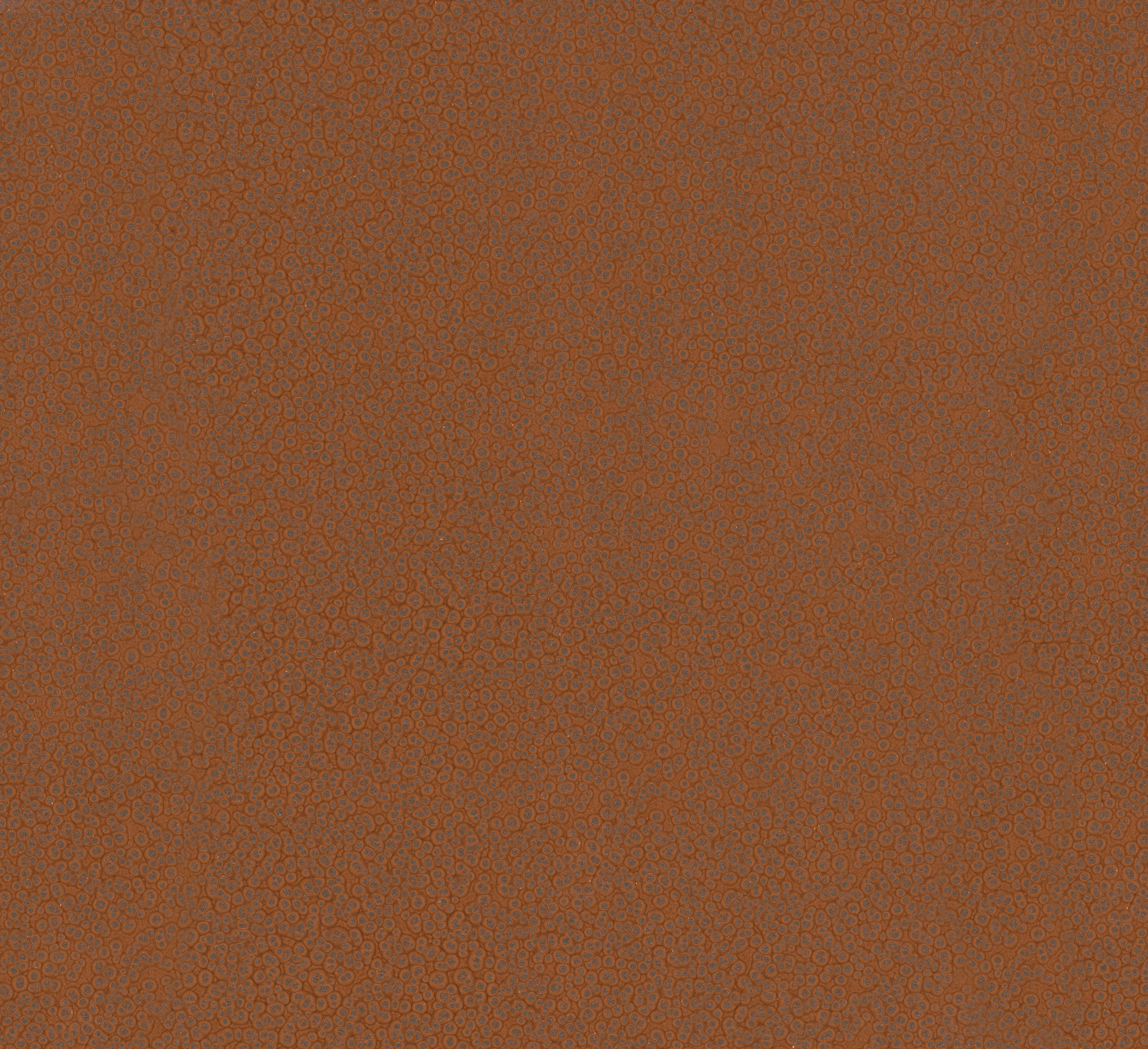 York Opulent Accents by Antonia Vella MA34958